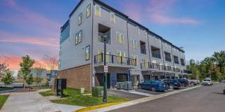 44514 WOLFHOUND Square Gallery 1