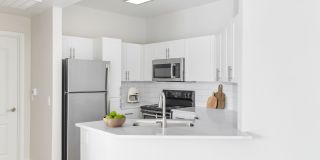 Monte Viejo Gallery 2