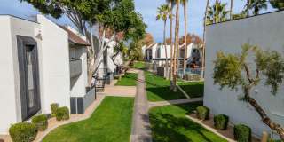 Sierra Pines Gallery 27