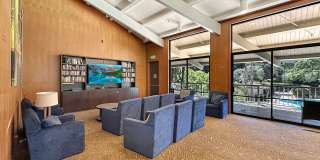 Plenty of Light in an Urban Oasis Gallery 11