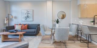 Cadence on Leo Gallery 6