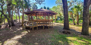 2749 ORCHID OAKS DRIVE Gallery 47