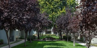 Villa Torino Gallery 16