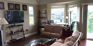 Furnished 3 Bedroom 3 Bath Condo Gallery 9