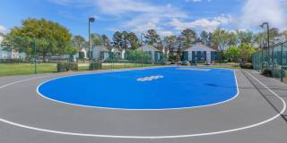 The Henry Richmond Hill Gallery 14