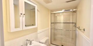 Spacious 4BD/3BA Bellevue Home with Private Backyard & Garage Gallery 22