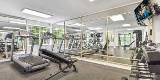 Lakemont Orchard Gallery 14