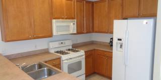 3 Bed/ 2 Bath in Victoria Park Gallery 14