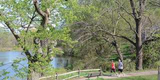 Tree Haven Apartments Gallery 13