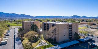 Los Altos Towers Gallery 43