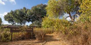 Rivair Apartment Homes Gallery 24