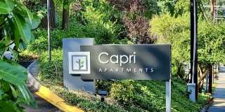 Capri Apartments Gallery 16