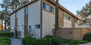 Sea Breeze Rental Townhomes Gallery 11