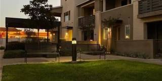 2821 Lily Lane Gallery 22