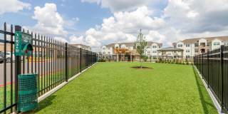 The Laurel Gallery 31