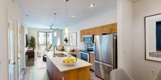 The Residences at the Domain Gallery 6