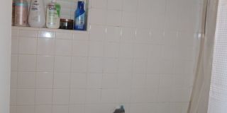 Hyde Park Country Condo - Furnished - 1BD/1BA - Covered Parking -Close to Everything Gallery 24