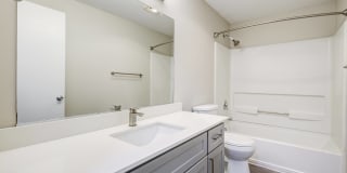 Avana Evergreen Gallery 20