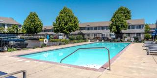 Avana Evergreen Gallery 33