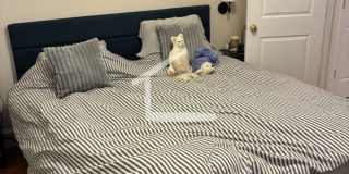 Charming 1 Bedroom-No Broker Fee Gallery 3