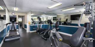 Set Point Set Point Gallery 15