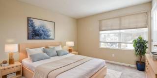 2681 Island Pond Drive Gallery 11
