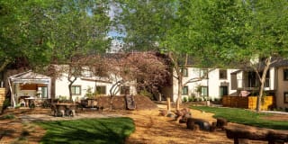 Sharon Green Gallery 19