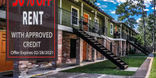 Spring Pine Gallery 44