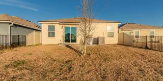 12634 CACAO TREE Trail Gallery 26