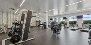 251 Dekalb Gallery 12