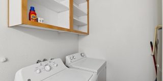 Jenna Village Gallery 8