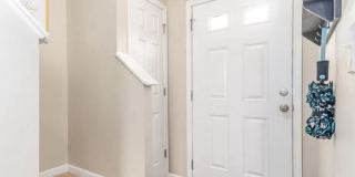 5924 Osprey Cove Drive Gallery 8