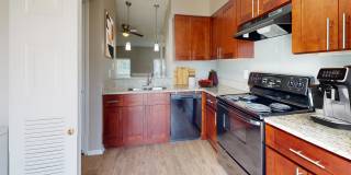 Addison Apartments at the Park Gallery 10