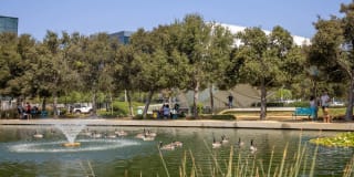 Altitude Apartments Gallery 45