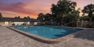 Imperial Palms Gallery 2