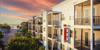 Mosaic at Lake Toho Gallery 1