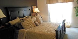 Walden Pond Gallery 8