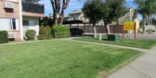 Sunrise Apartments Gallery 1