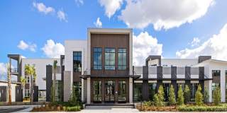 The Radler Gallery 50