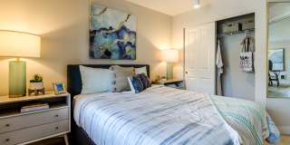 Vue Issaquah Gallery 7