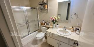 6378 Caminito Lazaro Gallery 11