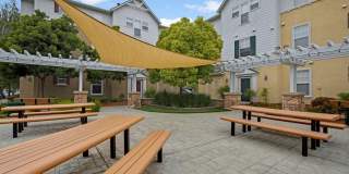 Saratoga Downs at Sheveland Ranch Gallery 105