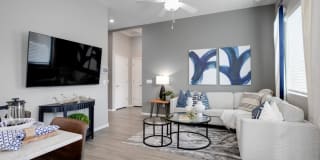 Vlux at Queen Creek Gallery 33