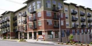 McKenzie Square Apartments Gallery 1