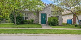 2537 Sun Seeker Court Gallery 1