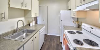 Forest Hill Village Gallery 22