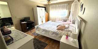 1753 BELLEAIR FOREST DRIVE Gallery 12