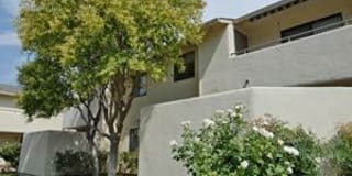 Larkspur Larkspur Gallery 8