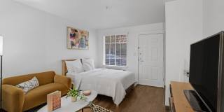 Vivo Living Arbor View Vivo Living Arbor View Gallery 14