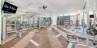 The Wilder Gallery 8